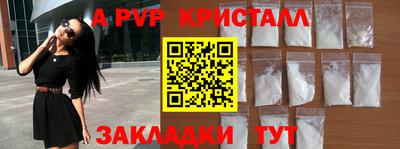 крисы Гай