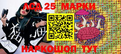 крисы Гай