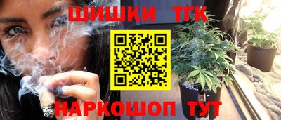 МДПВ Гагарин