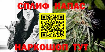 МДПВ Гагарин